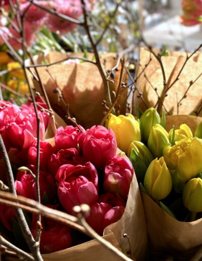 Tulpen Im Bund Mit Zweigen