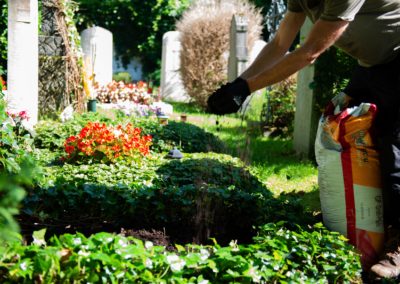 Gaertner Bepflanzt Das Grab Zu Jeder Jahreszeit Neu