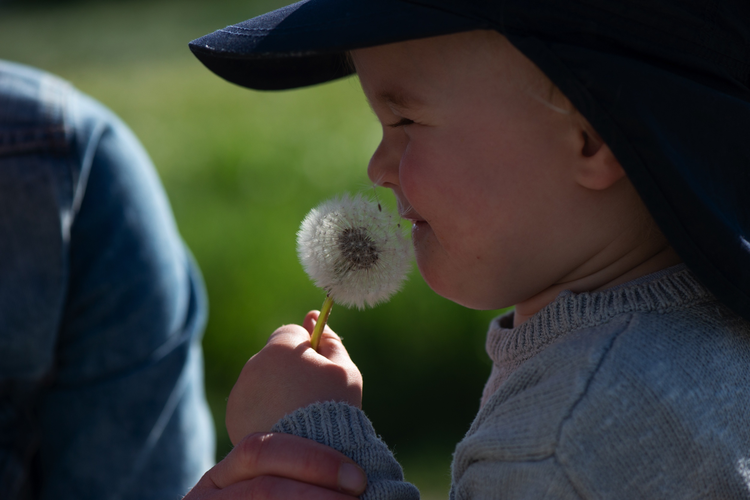 Kind mit Pusteblume