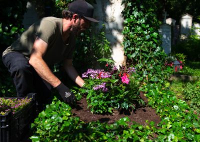 Sommerliche Grab Bepflanzung