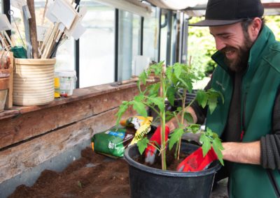 Tomaten pflanzen macht Spaß