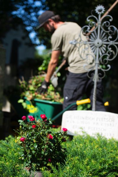 Wer Giesst Und Pflanzt Auf Dem Friedhof